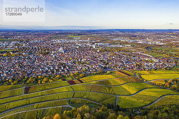 Deutschland  Baden-Württemberg  Stuttgart  Luftaufnahme von ausgedehnten Weinbergen vor einer ländlichen Stadt im Herbst