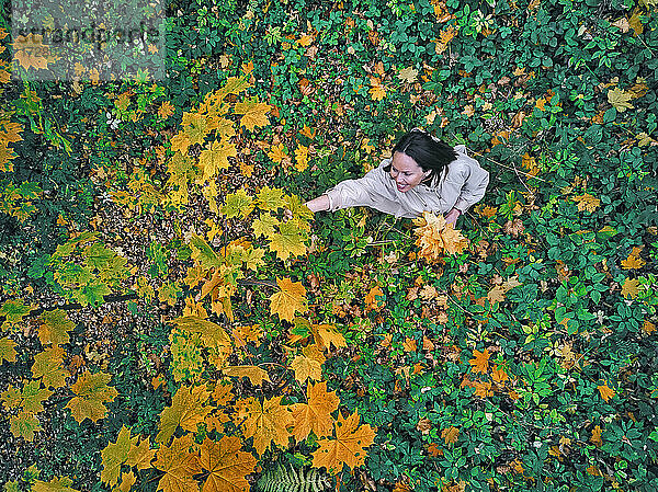 Luftaufnahme einer erwachsenen Frau beim Aufsammeln von Blättern in einem herbstlichen Park