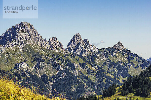 Panoramaaussicht auf die Gipfel der Tannheimer Berge