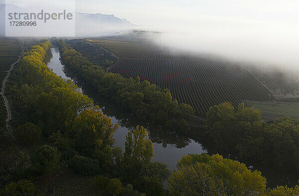 Malerischer Blick auf den Fluss am Weinberg bei nebligem Wetter