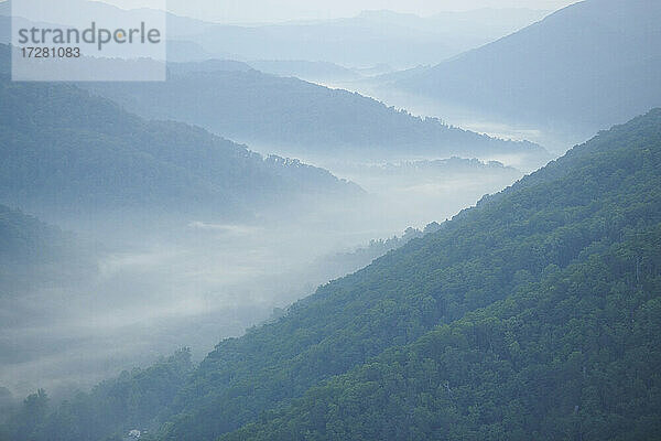 Luftaufnahme des in Morgennebel gehüllten Waldes in den Appalachen