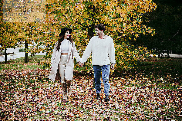 Lächelndes junges Paar  das sich an den Händen hält und sich im Herbst vor einem Baum ansieht