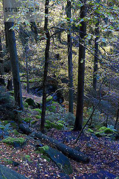 Malerweg im Elbsandsteingebirge