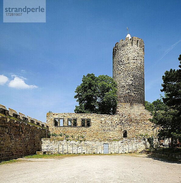 Burgruine Schönburg im Saaletal  Naumburg  Burgenlandkreis  Sachsen-Anhalt  Deutschland  Europa