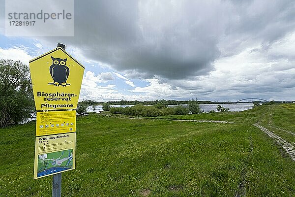 Schild zum Biosphärenreservat an der Elbe in Dömitz  Mecklenburg-Vorpommern  Deutschland  Europa