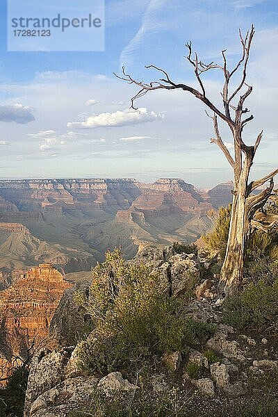 Schöne Landschaft des Grand Canyon  Arizona