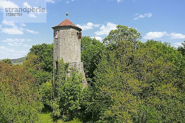 Schlossturm Castell auf Schlossberg  auch Burgstall Oberschloss  Treppenturm  Relikt einer Höhenburg  16. Jahrhundert  Weindorf Castell bei Wiesentheid  Steigerwald  Unterfranken  Franken  Bayern  Deutschland  Europa