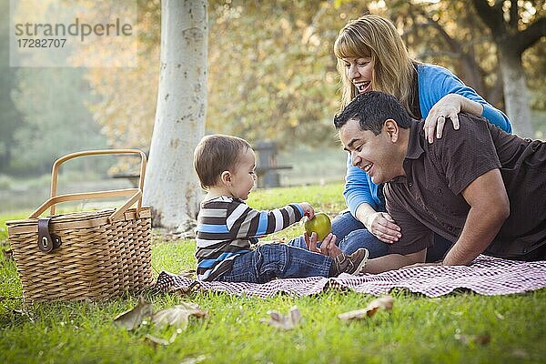 Glückliche junge gemischtrassige ethnische Familie beim Picknick im Park