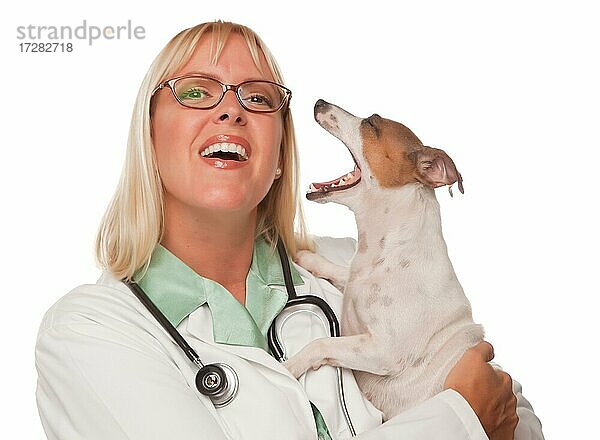 Attraktive weibliche Arzt Tierarzt mit kleinen Welpen vor einem weißen Hintergrund