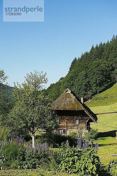 Strohgedeckte Mühle mit Bauerngarten  Oberprechtal  bei Elzach  Schwarzwald  Baden-Württemberg  Deutschland  Europa