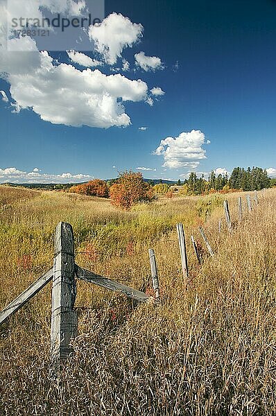 Schöne Herbstlandschaft mit rustikalem Zaun und Wolken