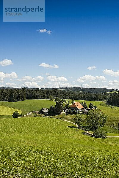 Alter Schwarzwaldhof  Unterfallengrundhof  bei Gütenbach  Schwarzwald  Baden-Württemberg  Deutschland  Europa