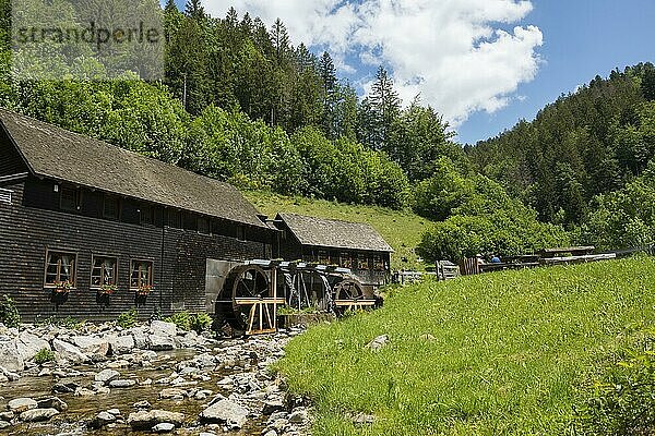Hexenlochmühle  bei St Märgen  Schwarzwald  Baden-Württemberg  Deutschland  Europa