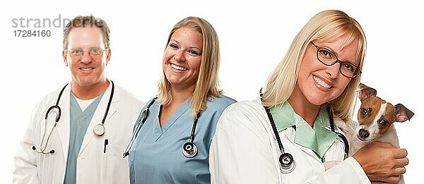 Attraktive weibliche und männliche Tierarzt Ärzte mit kleinen Welpen vor einem weißen Hintergrund