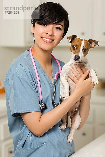 Lächelnde attraktive gemischtrassige Tierärztin oder Krankenschwester mit Welpe in einer Büro- oder Laborumgebung