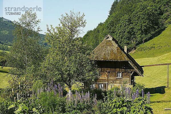 Strohgedeckte Mühle mit Bauerngarten  Oberprechtal  bei Elzach  Schwarzwald  Baden-Württemberg  Deutschland  Europa
