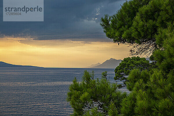 Makarska Riviera Bucht in der Abenddämmerung mit Baum im Vordergrund