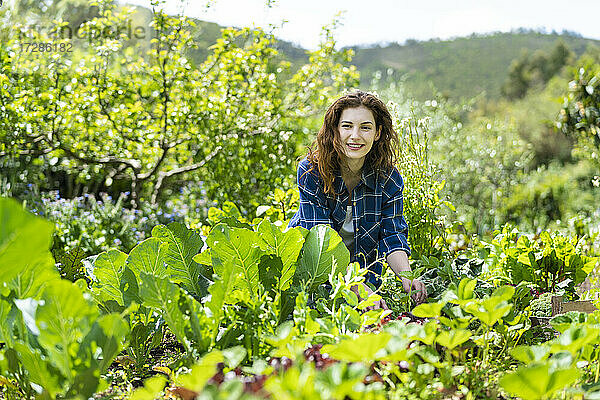 Lächelnde junge Frau bei der Ernte von Bio-Gemüse im Garten