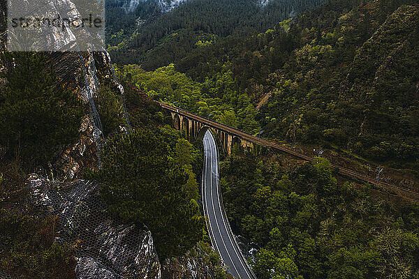 Die Autobahn verläuft unter einem Viadukt  das ein bewaldetes Tal überspannt