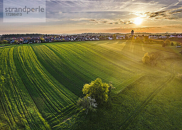 Deutschland  Baden Württemberg  Luftaufnahme von landwirtschaftlichen Feldern im Schwäbischen Wald bei Sonnenaufgang