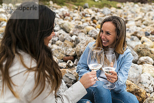 Lächelnde Freunde stoßen mit Weingläsern an  während sie auf Steinen am Strand sitzen