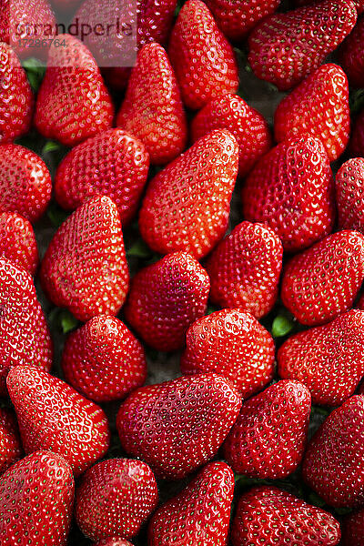 Voller Rahmen aus frischen  reifen Erdbeeren