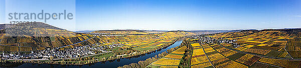 Deutschland  Rheinland-Pfalz  Hubschrauberpanorama der Mosel und der umliegenden Weinberge im Herbst