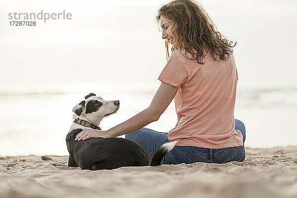 Lächelnde junge Frau  die einen Jack Russell Terrier streichelt  während sie am Strand sitzt