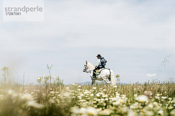Junge Frau reitet auf einem Pferd auf einer Wiese an einem sonnigen Tag
