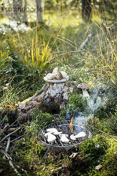 Steinpilze beim Grillen auf einem kleinen Lagerfeuer auf dem Waldboden