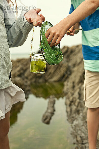 Junge und Mädchen sammeln Fische in einem Glas am Strand