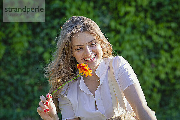 Fröhliche junge Frau lacht  während sie eine Freesienblüte an einem sonnigen Tag hält