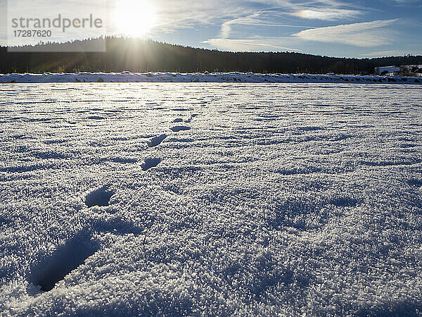Fußabdrücke auf Schnee bei Sonnenuntergang
