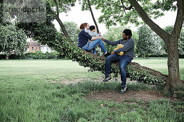 Vater und Mutter sitzen mit ihrem Sohn auf einem Baum im Park