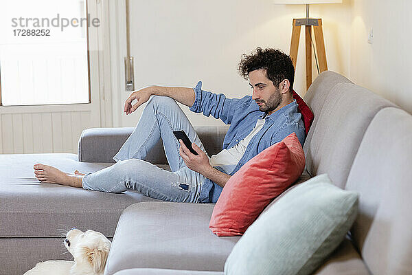 Mittelgroßer erwachsener Mann  der ein Mobiltelefon benutzt  während er zu Hause auf dem Sofa sitzt