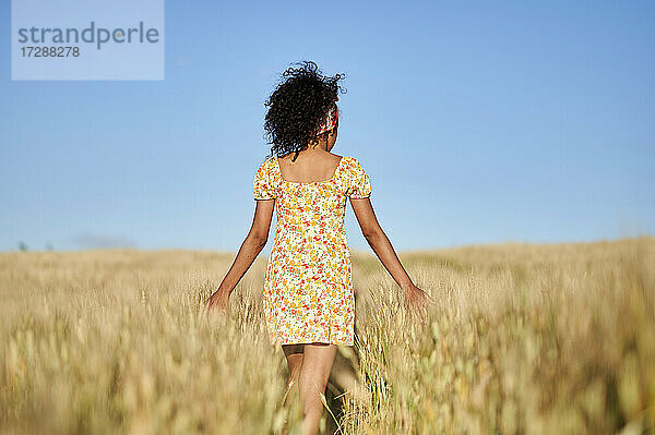 Lockig behaarte Frau  die auf einem Feld vor blauem Himmel spazieren geht und dabei die Weizenernte berührt