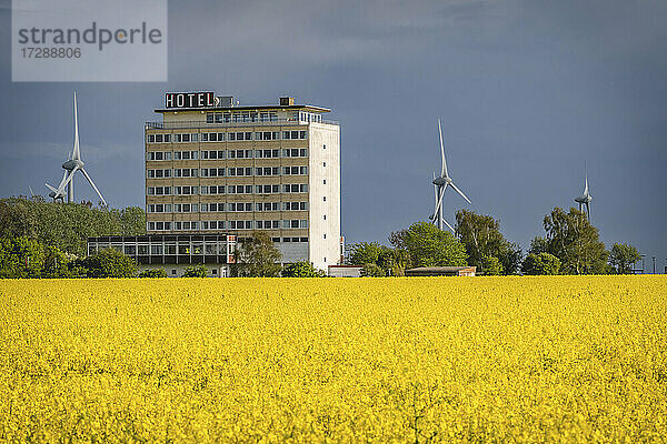 Deutschland  Schleswig-Holstein  Puttgarden  Rapsfeld mit Hotel und Windkraftanlagen im Hintergrund