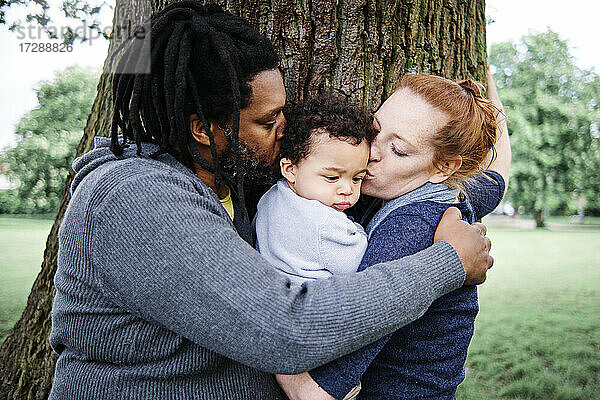 Vater und Mutter küssen ihren Sohn und umarmen sich in der Nähe eines Baumstamms im Park