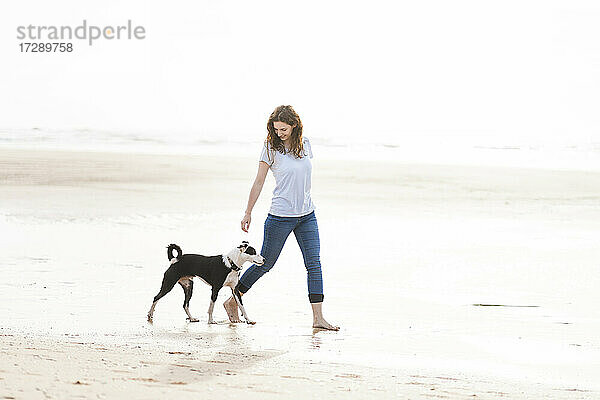 Frau mit Jack Russell Terrier bei einem Spaziergang am Strand