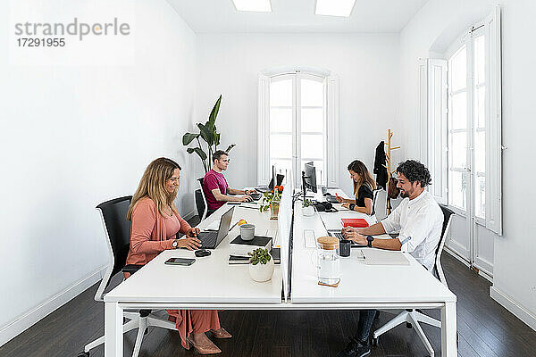Männliche und weibliche Unternehmer arbeiten in einem modernen Büro