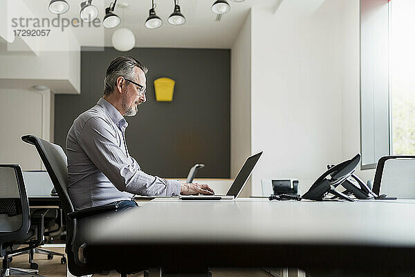Reifer Geschäftsmann  der einen Laptop benutzt  während er am Schreibtisch sitzt