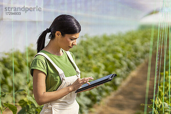 Landwirtin benutzt digitales Tablet im Gewächshaus