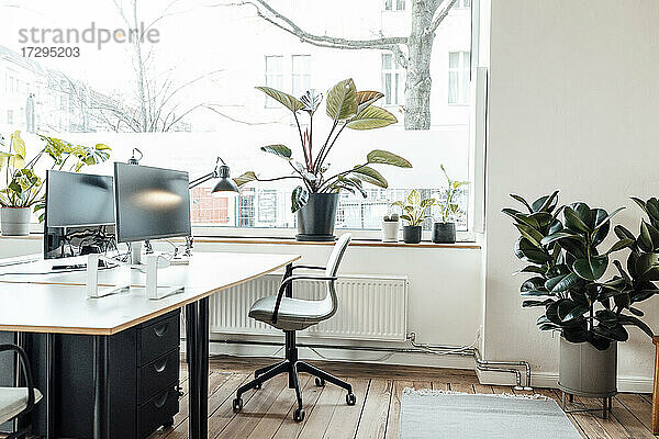 Pflanzen am Fenster und am Schreibtisch im Büro