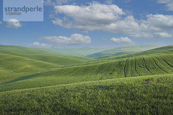 Italien  Toskana  Val D'Orcia  Pienza  Wolken über grünen Hügeln