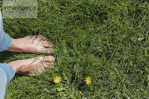 Nackte Füße einer Frau  die in üppigem grünen Gras steht