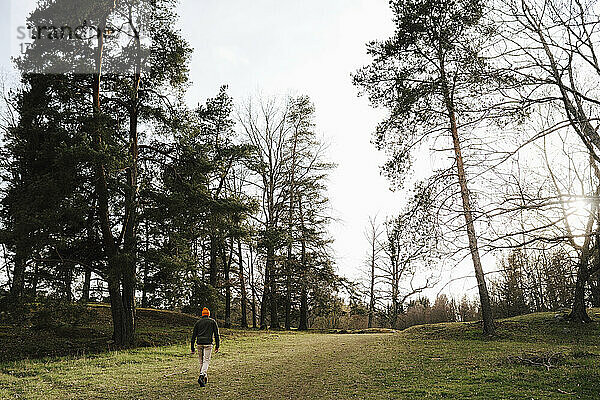 Rückansicht eines männlichen Forschers  der im Wald spazieren geht