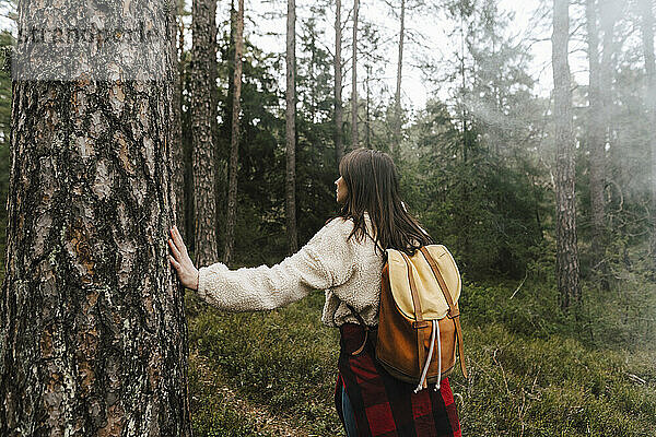 Rückansicht eines weiblichen Forschers  der im Wald spazieren geht