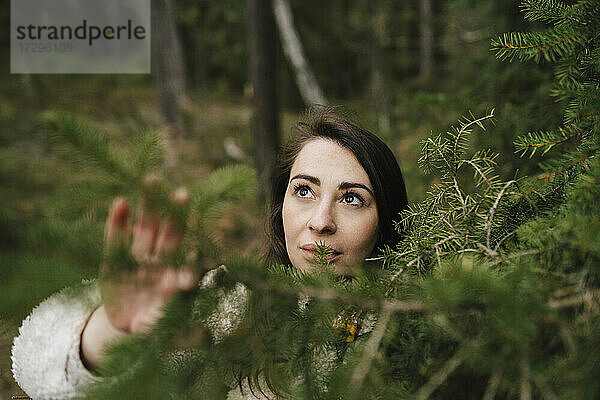 Junge Frau schaut an einer Pflanze im Wald hoch
