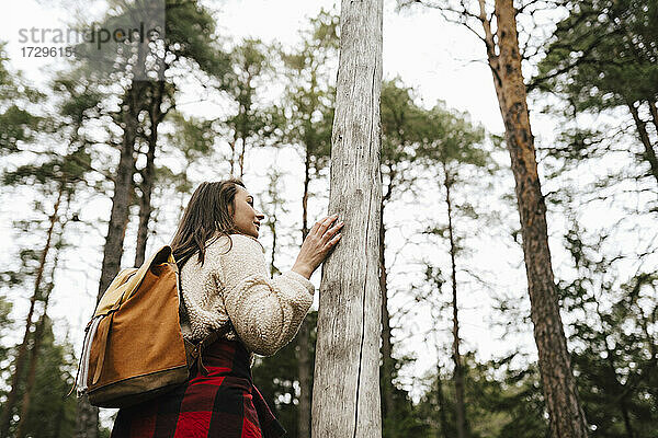 Weiblicher Wanderer stehend am Baum im Wald