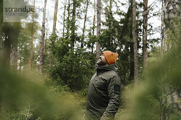 Lächelnder männlicher Wanderer  der nach oben schaut  während er im Wald steht